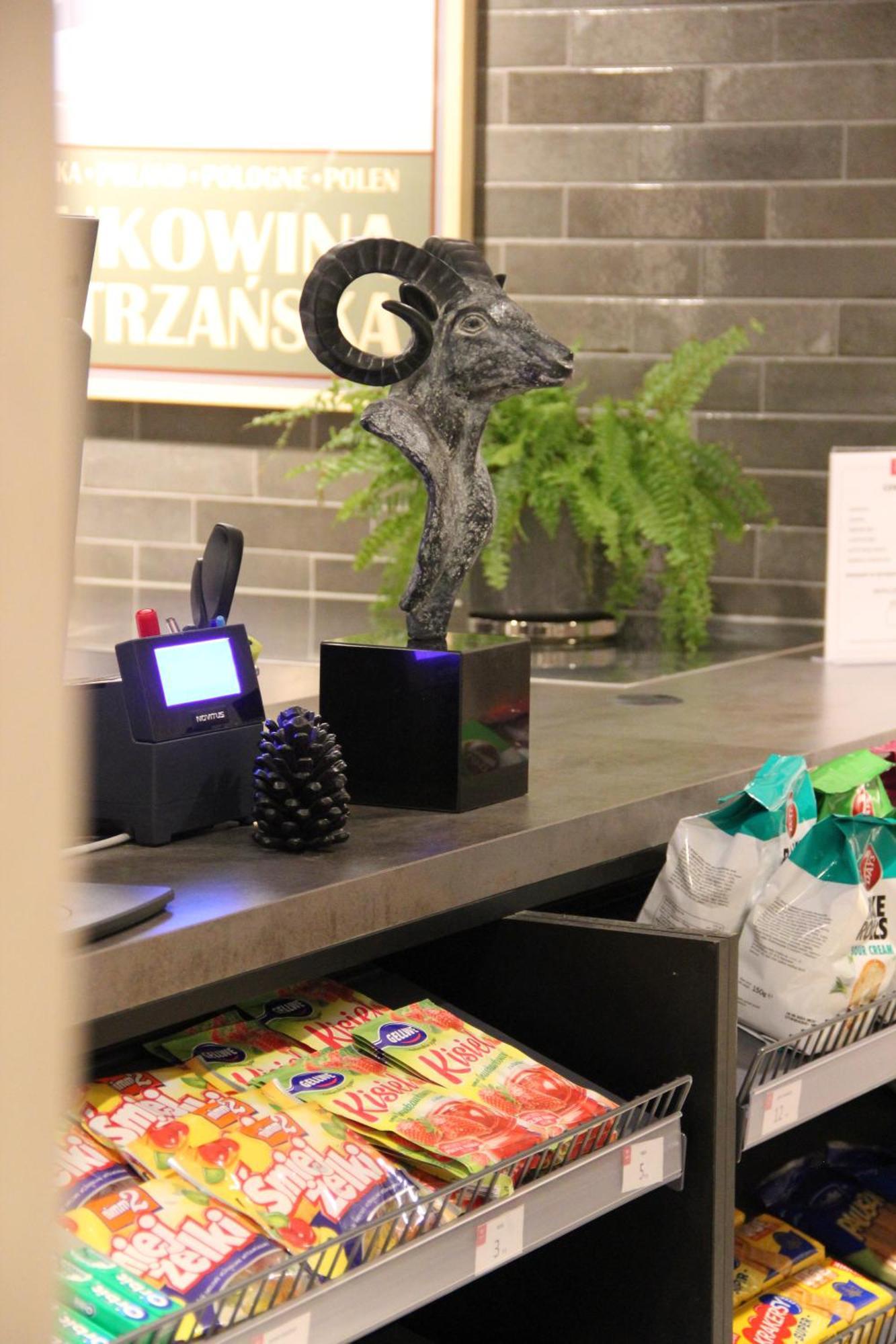 Apartamenty Aries Residence Bukowina Bukowina Tatrzańska Zewnętrze zdjęcie